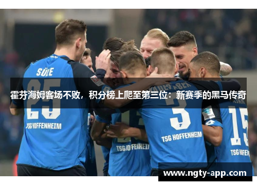 霍芬海姆客场不败，积分榜上爬至第三位：新赛季的黑马传奇